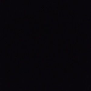 Meet your Posher, Lashay